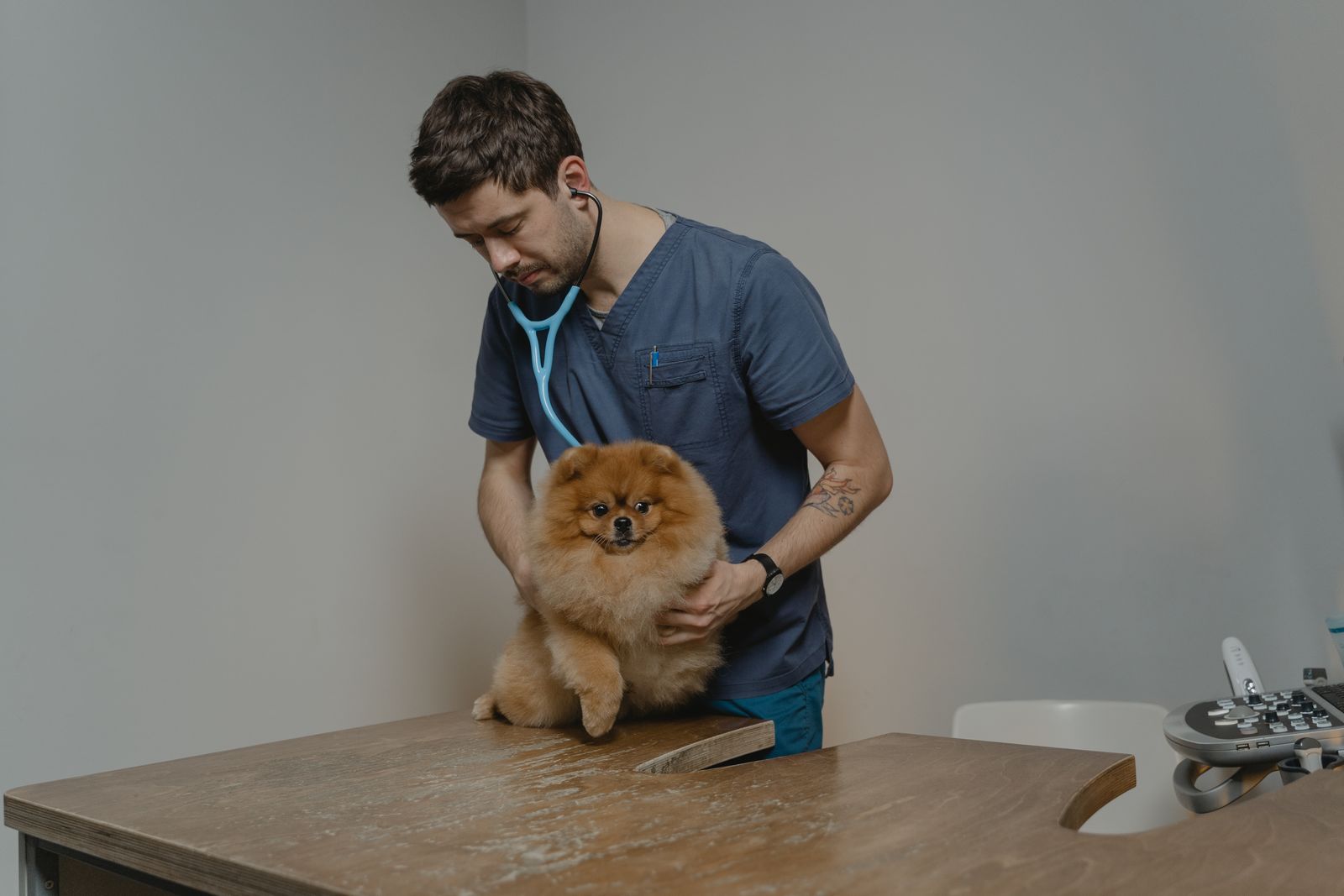 Veterinaria de PetVida atendiendo a un paciente