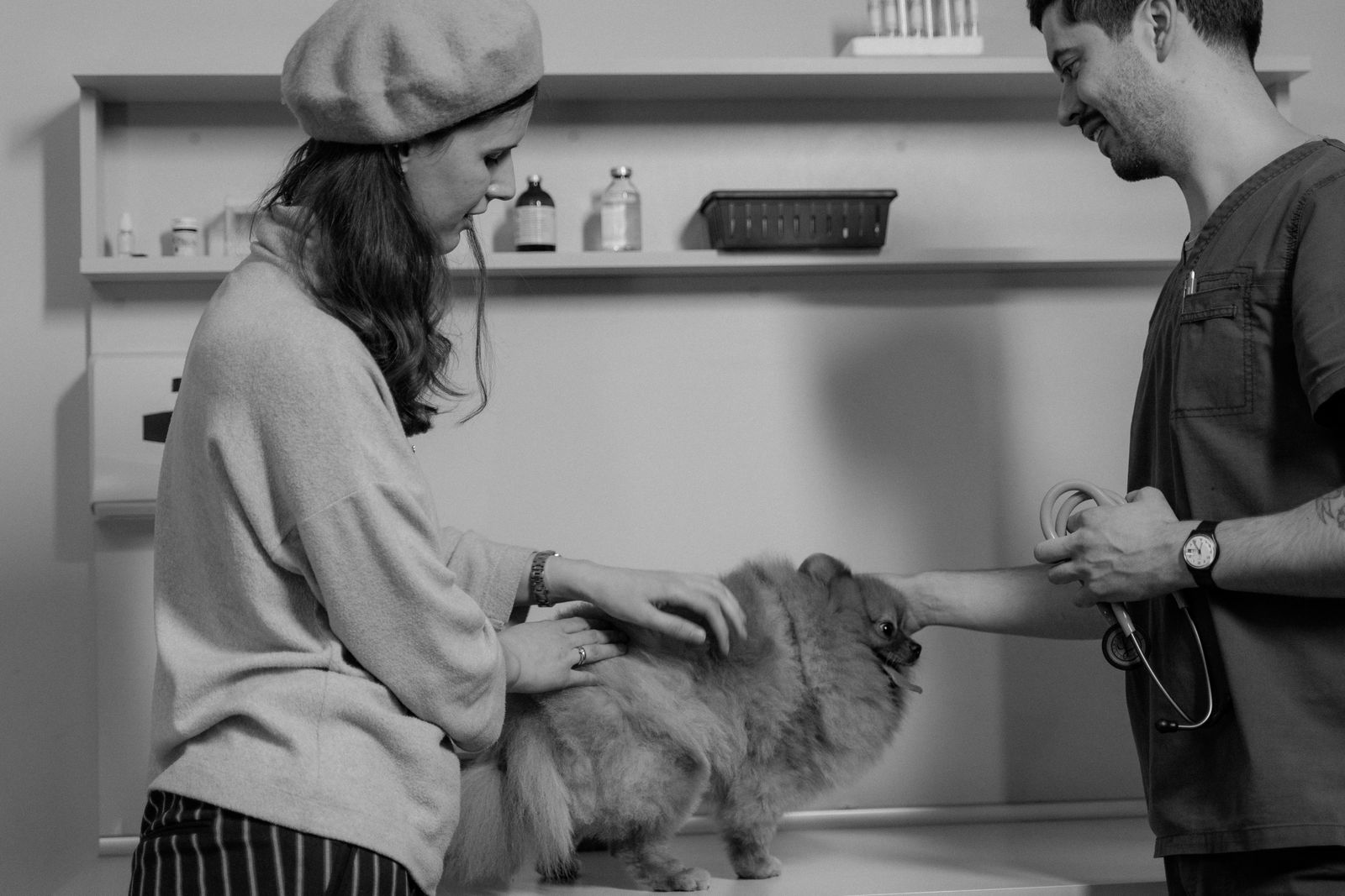Galería PetVida